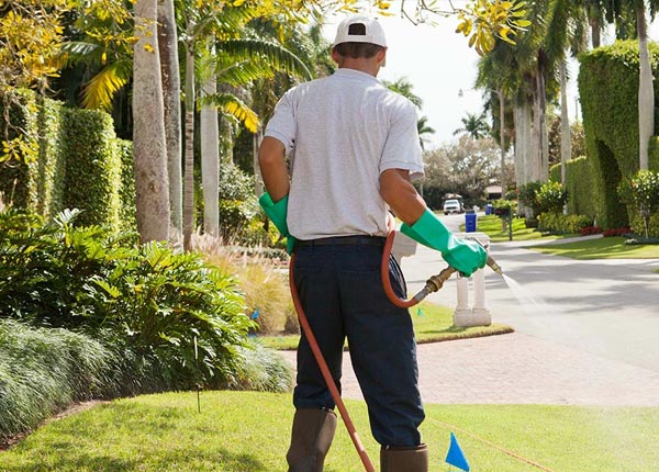 About Easton IL Pest Control